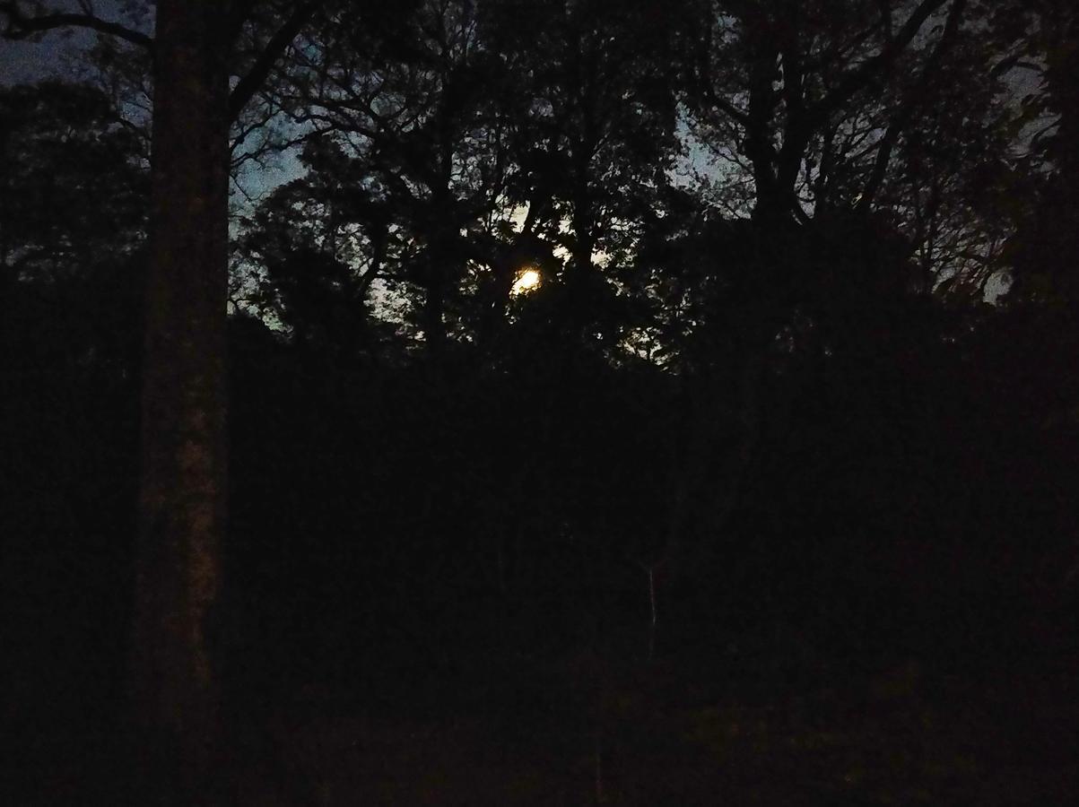 The Birchwood Retreat, Madikeri 호텔 외부 사진