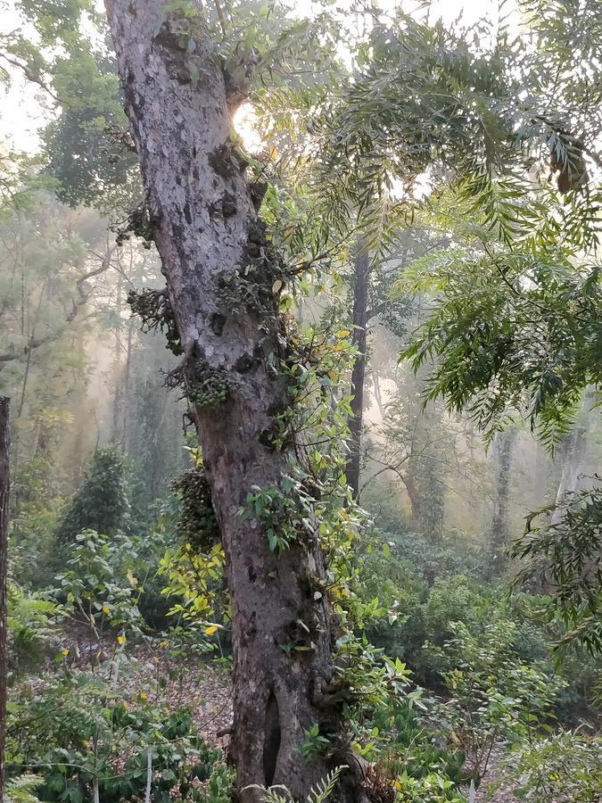 The Birchwood Retreat, Madikeri 호텔 외부 사진